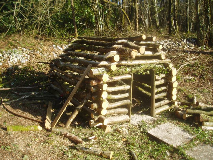 Log Building